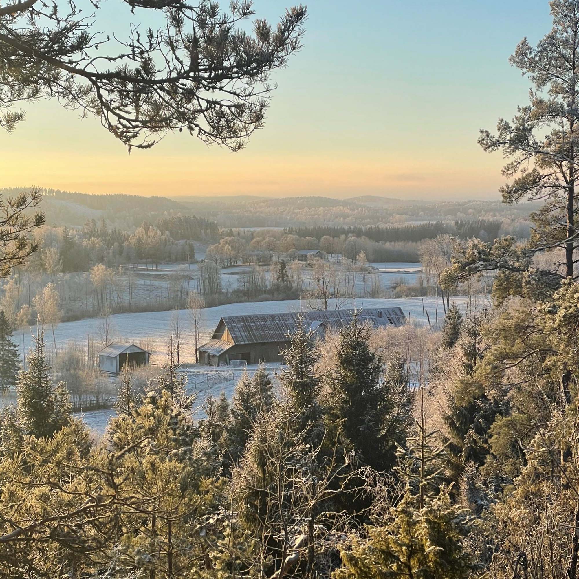 Winter in Dalsland